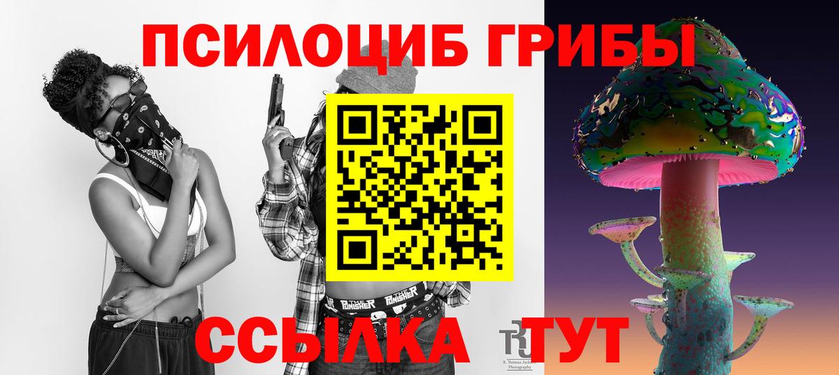 Галлюциногенные грибы мицелий Белгород